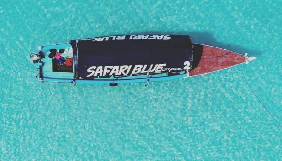 Safari Blue Tour