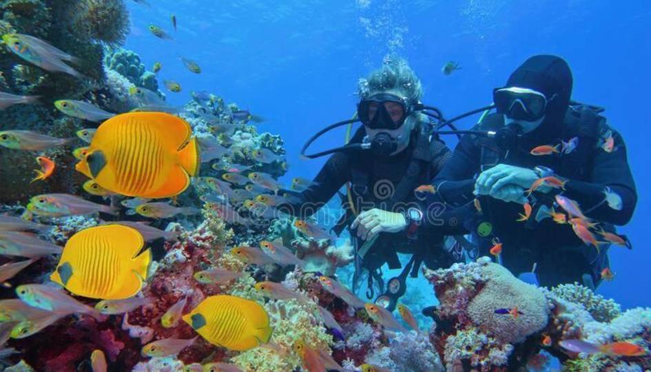 Scuba Diving